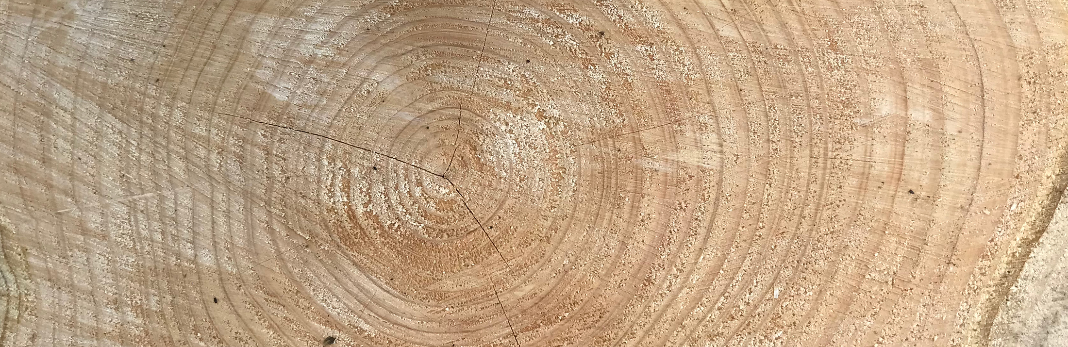 Wooden Type